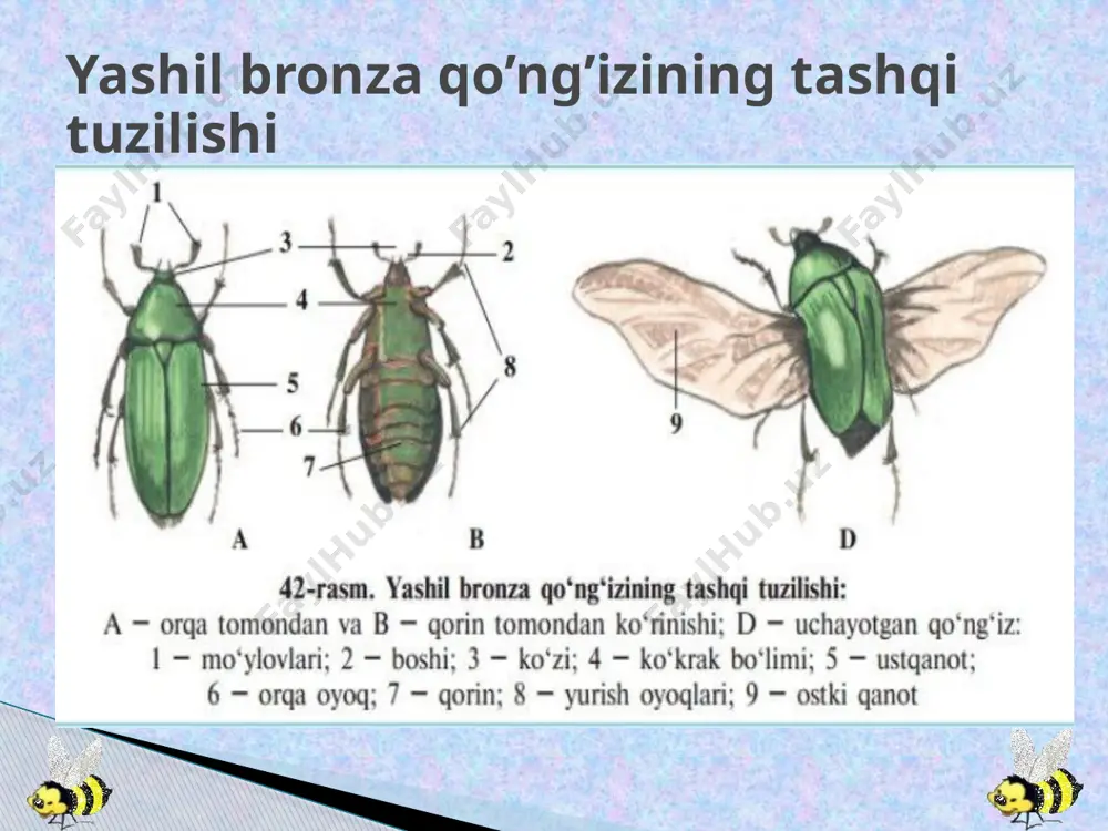 biologiya fani dars ishlanmasi - Page 4