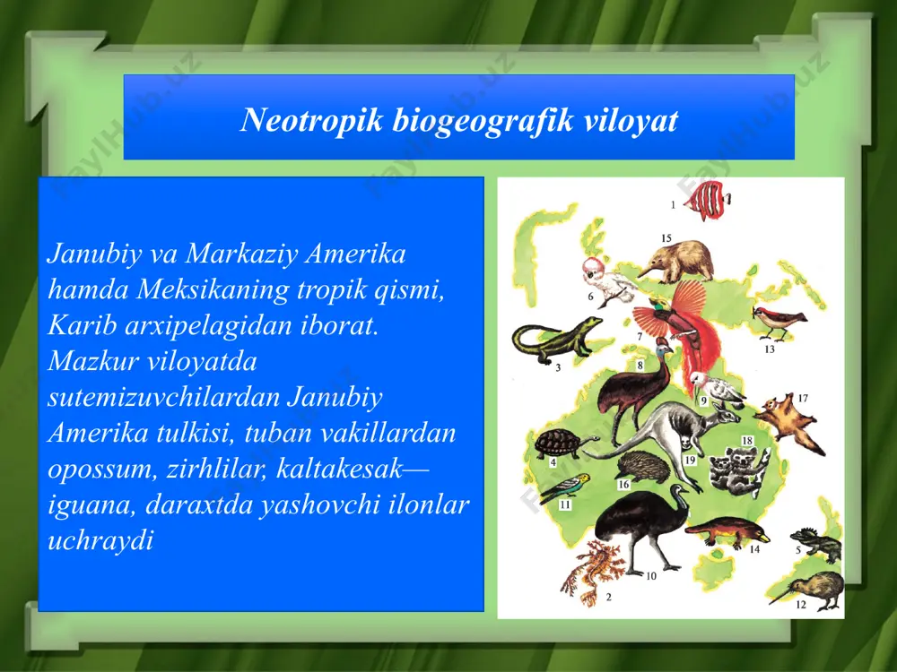 evolutsiyani isbotlashda biogeografiya fani dalillari - Page 4