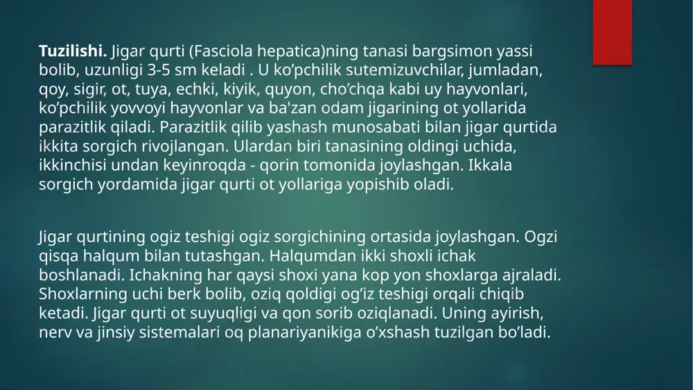 so‘rg‘ichlilar (trematoda) sinfi - Page 3
