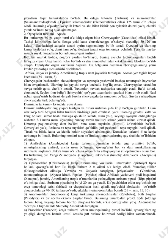ti hisoblangan giomandibulyare-osma suyak o’rta quloq bo’shlig’ida joylashadigan uzangi suyagiga aylanadi, o’rta chanoq kamari dumg’aza umurtqasining ko’ndalang o’simtalariga yopishib turadi. ikkita (to’liq ajralmagan) qon aylanish doirasi yuzaga keladi, yuragi ikkita yurak bo’lmasidan va bitta yurak qorinchasidan tashkil topgan. ko’zlarida harakatchan qovoqlari bor. yon chiziq organlari yo’qolib ketgan. oldingi miya ancha kattaradi va ikkita yarim sharga ajraladi. uning qopqog’ida nerv moddasi to’planadi. amfibiyalarning o’rtacha metabolizm darajasi baliqlarga nisbatan ancha yuqori bo’ladi. shular bilan bir qatorda amfibiyalar suvda yashovchi umurtqalilarning belgilarini ham saqlab qolgan. terisi suv va gazni o’tkazib turadi. ayirish organi bo’lib tana mezonefritik buyrak va teri xizmat qiladi. tana harorati tashqi muhit haroratiga bog’liq (sovuqqonli-poykiloterm). sistematikasi hozirgi amfibiyalarning 2500 ga yaqin turlari bo’lib, ular uchta turkumga bo’linadi: dumlilar (caudata), oyoqsizlar (apoda) va dumsizlar (ecaudata). dumlilar turkumi - caudata yoki urodela bu turkum 280 ga yaqin hozir yashab turgan turlarni o’z ichiga oladi. boshi bilinar-bilinmas tanaga o’tib ketadi, doimo yaxshi rivojlangan, …