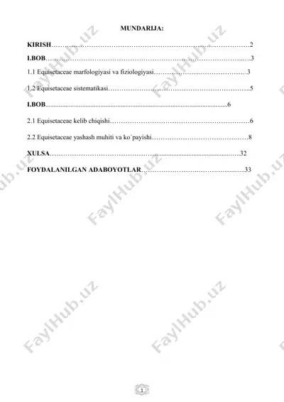 equisetaceae oilasi — DOC