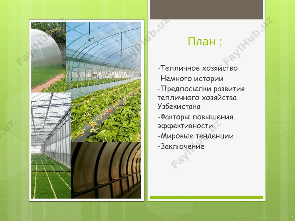 здано агентство по развитию садоводства и тепличного хозяйства при министерстве сельского хозяйства республики узбекистан с соответствующими отделами и секторами на региональном и районном уровнях. в числе основных задач агентства – принятие мер по увеличению площадей интенсивных садов и тепличных хозяйств с применением современных ресурсосберегающих технологий, в том числе капельного и дождевого орошения, а также реализация мер по развитию системы кооперации и организации кластерной формы, включающей всю цепочку производства от заготовки до реализации плодовой продукции. предпосылки для развития тепличной отрасли в узбекистане основное и главное назначение защищенного грунта (теплиц) – это выращивание и обеспечение населения во внесезонное время (осень-зима-весна) овощными культурами, а также цветами и декоративными растениями и подготовка рассады овощных культур для получения ранних овощей на открытом грунте. вследствие развала большинства построенных в советские годы тепличных хозяйств и слабой технической оснащенности сохраненных теплиц в настоящее время объем производства свежих овощей в межсезонье не удовлетворяет потребности внутреннего рынка. если подсчитать среднюю …