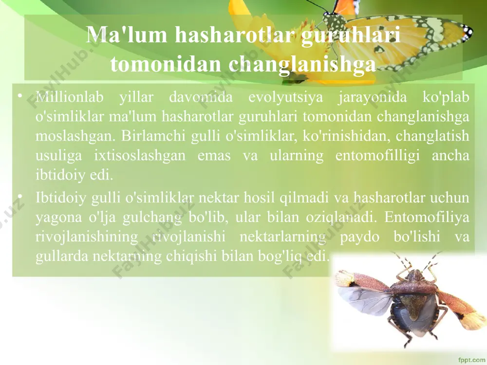 a changlanadi. xonqizi xonqizi - bu bog'dagi taniqli foydali hasharot. dumaloq qo'ng'izlarga tegishli va turlarga qarab, u 4-9 mm uzunlikda. eng ko'p uchraydigan etti nuqta xonim. qo'ng'iz qo'li qizil eritrada 7 ta qora nuqta uchun nom oldi. bundan tashqari, sariq elitra va qora nuqta yoki qorong'u qo'ng'izlar porloq dog'lar bilan yoki umuman ularsiz. shuningdek, dog'lar soni yoki qanotlarning shakli o'zgarishi mumkin. umuman olganda, bizda 70 ga yaqin yirik sigirlar bor, ularning 50 ga yaqini bargli bargli aphidlar bilan, qolganlari qobiq aphidlari va o'rgimchak oqadilar bilan oziqlanadi. xonqizis boshqa bargli bargli aphid ekzaminatorlari bilan bog'dagi eng muhim yordamchidir. bog'da joylashtirish: gullaydigan o'simliklari bo'lgan joylar, lekin nafaqat yaxshi parvarishlangan maysazorlar kovak uchun eng mos keladi. ayniqsa, mayda o'simliklar singari, sariq gullar. qo'ng'izlarni hibernatsiya qilish uchun siz quruq o't yoki o'tin bilan qoplangan kichik yog'och qutilarni qoldirishingiz mumkin. foydali hasharotlarning inson hayotidagi ahamiyati bundan tashqari, ba'zi yirtqich hasharotlar faqat oziq-ovqatni nektar yoki yalpiz …