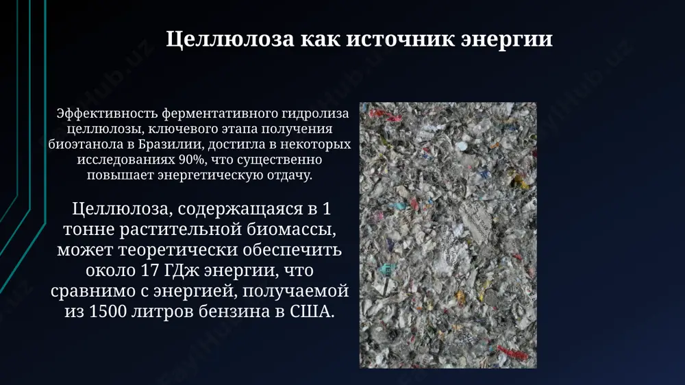 целлюлоза - Page 5