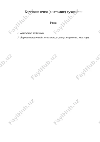 баргнинг ички (анатомик) тузилиши — DOC