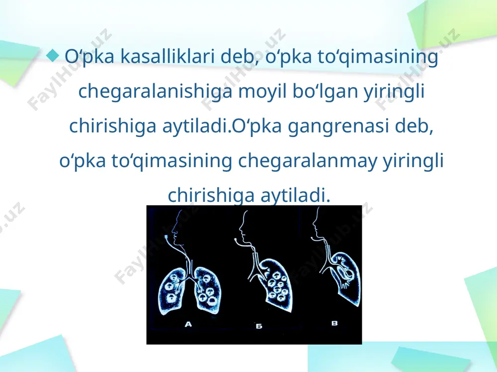 ishi, bosh og‘rig‘i, ba’zan yonboshda og‘riq paydo bo‘lishi kabi belgilardan noliydi, tez-tez yuza nafas oladi. kasal tomoni nafasdan orqada qoladi. perkussiyada shikastlangan soha ustida og‘riq aniqlanadi, bu sohadagi qovurg‘alar orasini stetoskop bilan bosil- ganda yo‘tal refleksi kuchayadi. bu plevraning yallig‘lanish jarayoniga tortilishining ilk belgisidir. puls tezlashgan — minutiga 120 tagacha, yurak tonlari bo‘g‘iqroq, auskultatsiyada qattiq, ba’zan bronxial nafas, quruq va nam xirillashlar eshitiladi. rentgenologik yo‘l bilan tekshirib ko‘rilganda, infiltratsiyasi bor joy qorayib turadi. ikkinchi davr yiringli bronxlar bo‘shlig‘iga yorilishidan bosh­lanadi. bemorlardan bir talay (1 l.gacha va bundan ko‘proq) yiringli yoki chink balg‘am chiqadi. abssessda balg‘am yashil rangli, hidsiz bo‘ladi. gangrenada esa balg‘am shokolad tusida va qo‘lansa hidli bo‘ladi. sutka ichida ajralib chiqadigan balg‘am miqdori ortishi bilan bemorlarning umumiy ahvoli sezilarli darajada yaxshilanib boradi, tana harorati esa pasayadi, intoksikatsiya holatlari asta- sekin pasayib, ishtaha asl holiga keladi, qonda leykotsitlar soni kamayadi va echt sekinlashadi ayrim hollarda kuchli yo‘talda o‘pka ichidagi bosim …