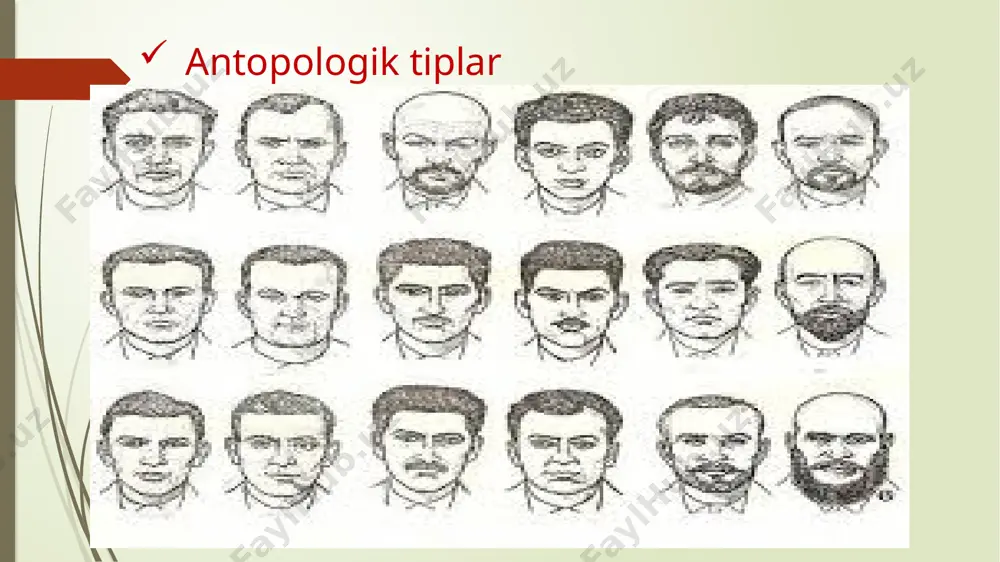 ikefal) “o‘rta osiyo ikki daryo oralig‘i tipi” ga o‘tish holati ro‘y berdi. janubiy – sharqiy orol bo‘yida mongoloid tipining hissasi katta – milodiy eraning boshida mug‘ulbashara ko‘payadi. milodiy 1 ming yillik oxiri va 2 ming yillikning boshida asosiy etnik qatlamni “ o‘rta osiyo ikki daryo oralig‘i tipi” tashkil etdi. toshkent vohasining o‘troq va chorvodor aholisi. sirdaryoning o‘rta havzasi antik davr o‘troq va chorvador qabilalari qovunchi madaniyati asosida o‘rganilgan ( toshkent vohasi, janubiy qozog‘iston ). ( mil. avv. 2 asr- mil. 6 asr). so‘nggi bronza va ilk temir davri materiallari uncha etarli emas, (aholisi braxikefal evropoid, dolixokefal evropoid). bo‘zsuv bo‘ylari, niyozboshi, tuyubo‘g‘iz, kulota kabi belgilar ilk temir davridan boshlangan bo‘lsa, qovunchi madaniyati aholisida aniq ko‘rinish oladi. qadimgi farg‘ona aholining antropologik tipi. arxeologik manbalar farg‘onaning sharqiy va shimoliy mintaqalarida bronza va ilk temir davrida dehqonchilik madaniyati (chust madaniyati) rivojlanganligi, janubiy va g‘arbiy mintaqalarida esa chorvador xo‘jaliklari rivojlanganligidan dalolat beradi. antik davrda vohaning …