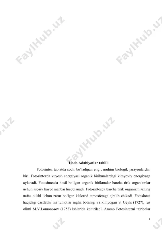 asi xlorplastlarda joylashgan (qarang xloroplastlar). fotasintez apparatining eng muhim komponenti xlorofill xlorofillin va ikki karbon kislotasi murakkab efiridan iborat. uning yashil rangi tarkibidagi magniy ionlariga bogʻliq. fotasintezda karotinoidlar ham qatnashadi. karotinoidlar koʻkbinafsha va koʻk (480— 530 nm) nurlarni yutib, ular energiyasini xlorofill ("ya")ga uzatadi. 400 dan ortiq karotinoidlar aniqlangan. koʻkyashil suvoʻtlar (sianobakteriyalar), qizil suvoʻtlar va ayrim dengiz kriptomonadalarida xlorofill "a" va karotinoidlar bilan birga fikobilin pigmentlari ham bor. ular xlorofill yutishi mumkin boʻlgan nurlar maksimumi oraligʻidagi nurlarni yutadi. oʻsimliklarda fotasintezda fikobilinlardan fitoxrom pigmenti ham qatnashadi. fitoxrom, asosan, qizil va infraqizil nurlarni yutib, xlorofillga uzatadi. fotasintezning yorugʻlik bosqichida xlorofill molekulasi tomonidan boshqa pigmentlar (xlorofill "", karotinoidlar, fikobilinlar) ishtirokida yorugʻlik energiyasi yutilib, bu energiya adf va nadf birikmalarining kimyoviy yoruglik energiyasiga aylanadi. xlorofill yorugʻlik energiyasini kvantlar yoki fotonlar holida yutadi. yutilgan energiya taʼsirida xlorofilldagi elektronlar qoʻzgʻalgan holatga oʻtadi. bunda elektron asosiy (s0) pogʻonadan birinchi singlet (s1) pogʻonaga oʻtadi. bu jarayon juda kiska …