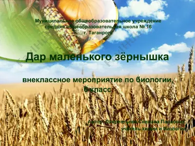 хлеб — PPT