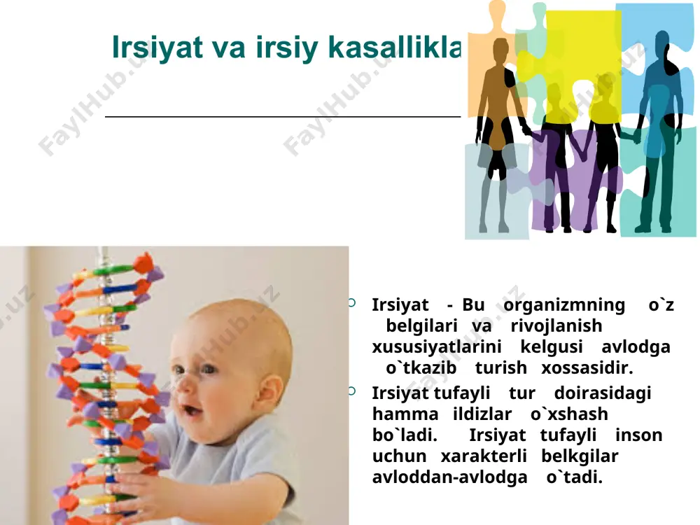 o`tib borishini aniqlash mumkin. odamga ba`zi qobiliyatlarning rivojlanishi irsiy omillarga bog`liq. masalan: moddalar almashinuvining ba`zi kasalliklari: qandli diabetning nasldan-naslga o`tishi, genetik metod bilan aniqlangan. bu kasallik me`da osti bezi faoliyatining buzilishi natijasida insuliy garmonini qonga chiqarolmay qoladi. keyin qondagi qand miqdori ko`payib odam organizmidagi moddalar almashinuvida chuqur o`zgarishlar ro`y beradi. irsiy belgilardan jingalak sochlik, ko`zining moviy bo`lishi, soch rangining malla yoki qora bo`lishi, qo`y ko`z, sepkillar, pakanalik, bo`yning uzun bo`lishi va boshqa belgilar avloddan-avlodga o`tadi. irsiy kasalliklardan tug`ma kar, gunglik, asab-ruxiy kasalliklar – shizofreniya, aqliy zaiflik, oligofreniya, epelepsiya, qon kasalliklari – gemofeliya, tug`ma trombositlarning yetishmasligi, verlgof kasalligi, daun kasaslligi, kleyfenter sindromi, shereshefkiy – terner kasalliklari avloddan-avlodga o`tadi. odamda egzaklar ikki xil bo`ladi. ayrim xollarda ikkita yoki uchta tuxum hujayralari urug`lanadi. bunda xuddi egizakmas yoki aka-uka, opa-singillardek bir-biriga o`xshash bir xil yoki har xil jinsdagi bolalar to`g`iladi. bitta tuxum hujayradan ikkita embrion paydo bo`lsa, bir tuxumdan egizaklar tug`iladi, ular bir jinsli, …