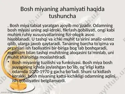bosh miyaning ahamiyati haqida tushuncha — PPTX