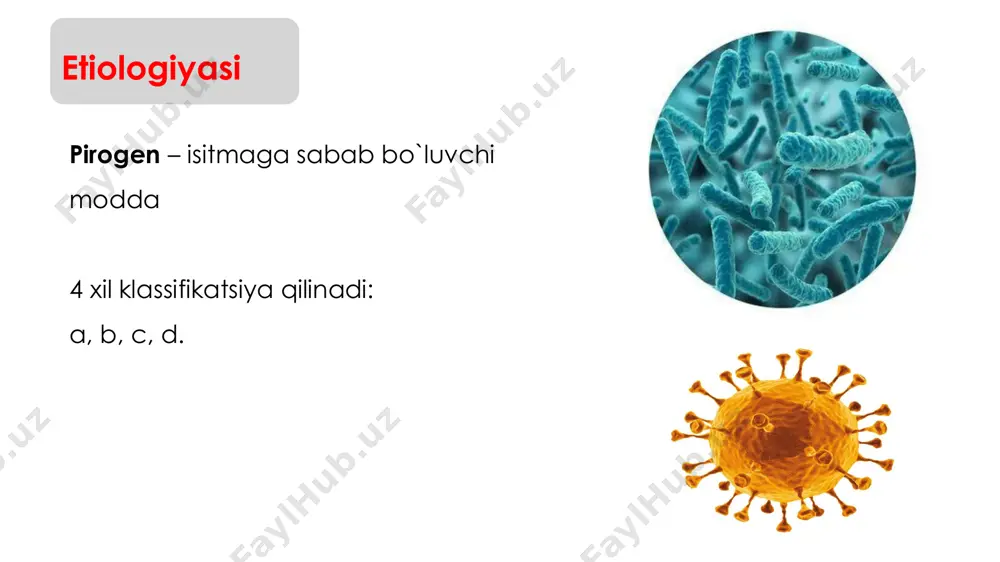 bezgak 4. gektik isitma (febris hectic) ● ertalab t◦ norma , hatto undan past ● kechki t ◦ > ertalabki t ◦ ● farq = 2-4 ◦c kasalliklar: − sil − sepsis 5. teskari isitma (febris intervesus) ● kechki t ◦ > 37 ◦c ● kechki t ◦ terotogen ta`sir isitmada metabolizmi ● umumiy almashinuv ↑ → o₂ va oziq iste`moli ↑ → bemor ishtahasi yo`qligi sababli endogen energiya manbaalaridan foydalanadi → vazn yo`qotadi ● teri va nafas orqali suv yo`qotilishi → suvga ehtiyoj ↑ → kichik bolalar va og’ir bemorlarda suvsizlanish ►ma`lumot ● isitmada ko`p suyuqlik ichish tavsiya qilinadi. chunki : − yuqoridagi suvsizlanish oldini olish − sirkulyatsiya hajmi ↑ → diurez ↑ → qondagi toksinlar ham birga chiqib ketadi ● alkaloz (38-39 ◦ c) − nafas soni va alveolar ventilatsiya ↑ → qondagi co₂ ↓ → gipokapniya → gazli alkaloz ● atsidoz (t ◦ > 39 ◦c) − …