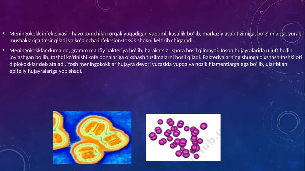 ikning yuqori tarqalishi tufayli sayyoramizning "meningit kamarini" tashkil qiladi. meningokokk infektsiyasi asosan 30 yoshgacha bo'lgan bolalar va yoshlarga ta'sir qiladi, ammo kasallik bir yoshgacha bo'lgan chaqaloqlarda va 60 yoshdan oshgan odamlarda eng og'ir. ba'zida hodisalar shu qadar tez rivojlanadiki, kasallikning fulminant shakli alohida aniqlanadi. meningokokk infektsiyasining oqibatlari uning kechishining og'irligiga va patogenning tarqalishiga bog'liq bo'lib, u og'ir nogironlik va o'limga olib kelishi mumkin. bakteriyalar qonga va tananing turli to'qimalariga kirib borishini osonlashtiradigan ko'p miqdordagi agressiv moddalarni chiqaradi . masalan, gialuronidaza biriktiruvchi to'qimalarning asosiy komponenti - gialuron kislotasini parchalaydi , buning natijasida kollagen to'plamlari bo'shashadi va meningokokk uchun o'tish joyi hosil bo'ladi. bakterial hujayra devori inson tanasi uchun kuchli toksindir. bu markaziy asab tizimiga, buyraklarga, yurak mushaklariga salbiy ta'sir qiladi va immunitet tizimining kuchli faollashishiga olib keladi. manba infektsion manbai kasal odam yoki tashuvchidir . meningokokkni tashish sub'ektiv ravishda hech qanday tarzda o'zini namoyon qilmaydi, shuning uchun odam boshqalar uchun xavfli …