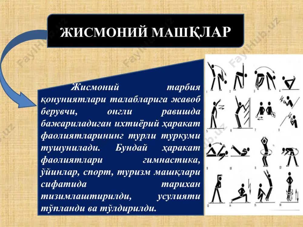 жисмоний машқлар ҳақида маълумотлар - Page 3