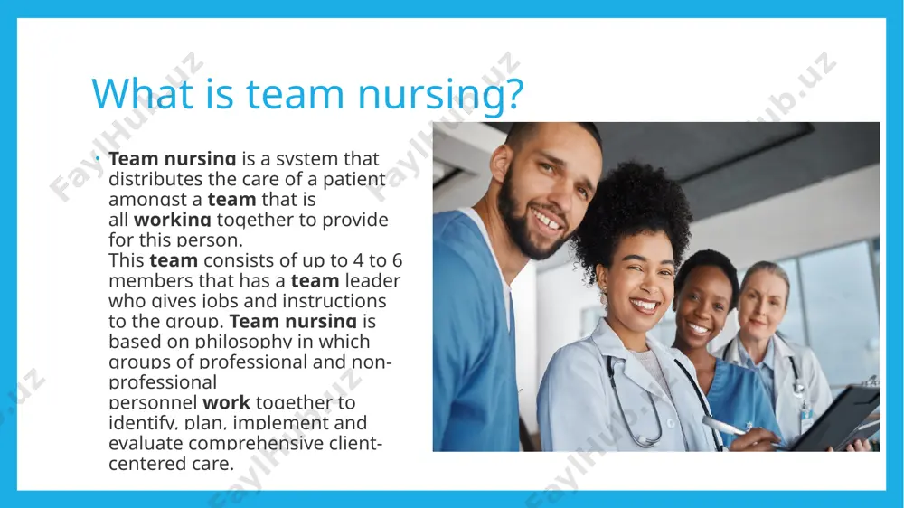 team nursing - Page 2