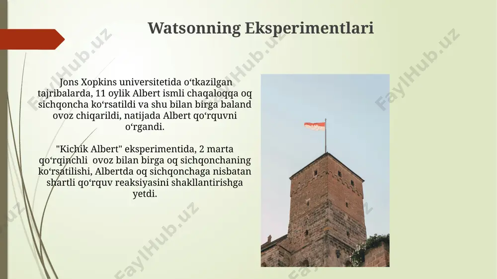 uotsonning kiassik bixeviorizmi - Page 5