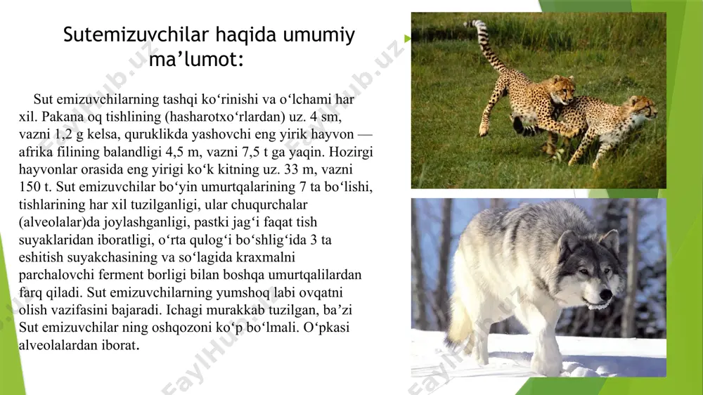 "o’zbekiston qizil kitobi" taqdimoti - Page 5
