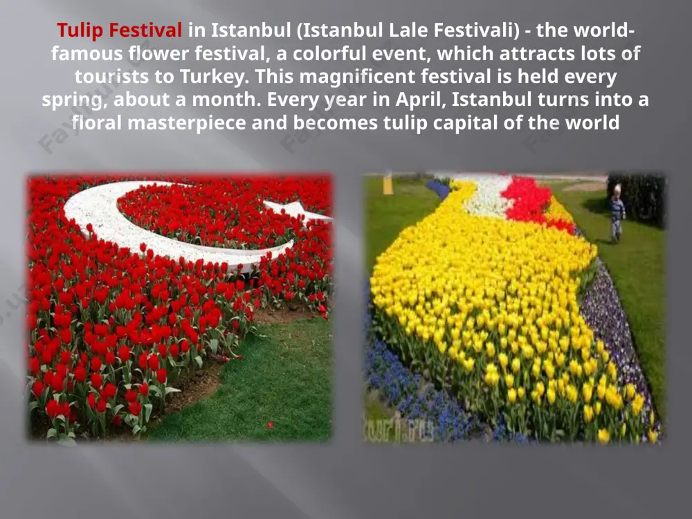turkish culture - Page 4