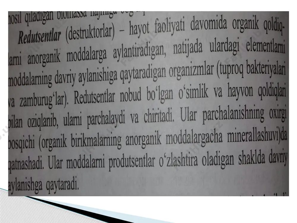 ekotizmlarning trofik strukturasi - Page 5