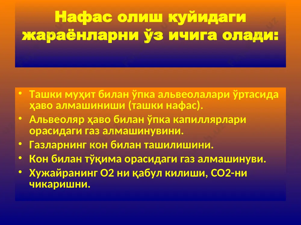 нафас физиологияси - Page 5