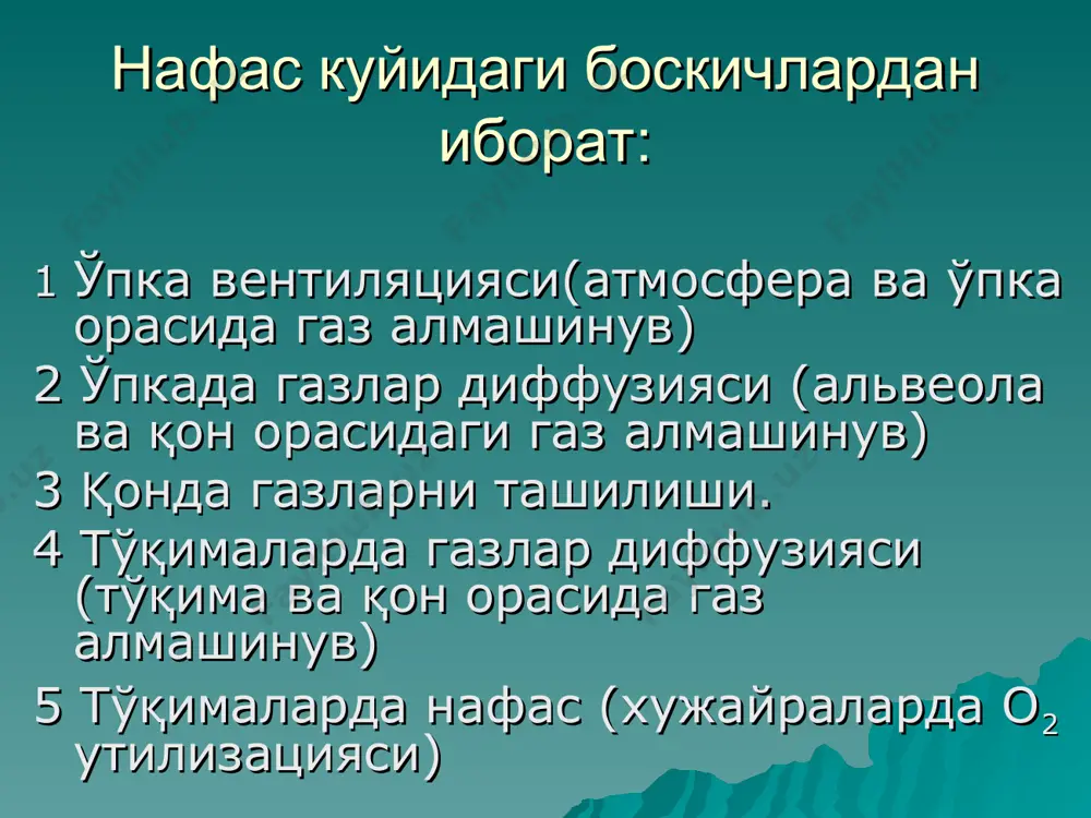 naafas tizimi funktsional xususiyatlari - Page 5