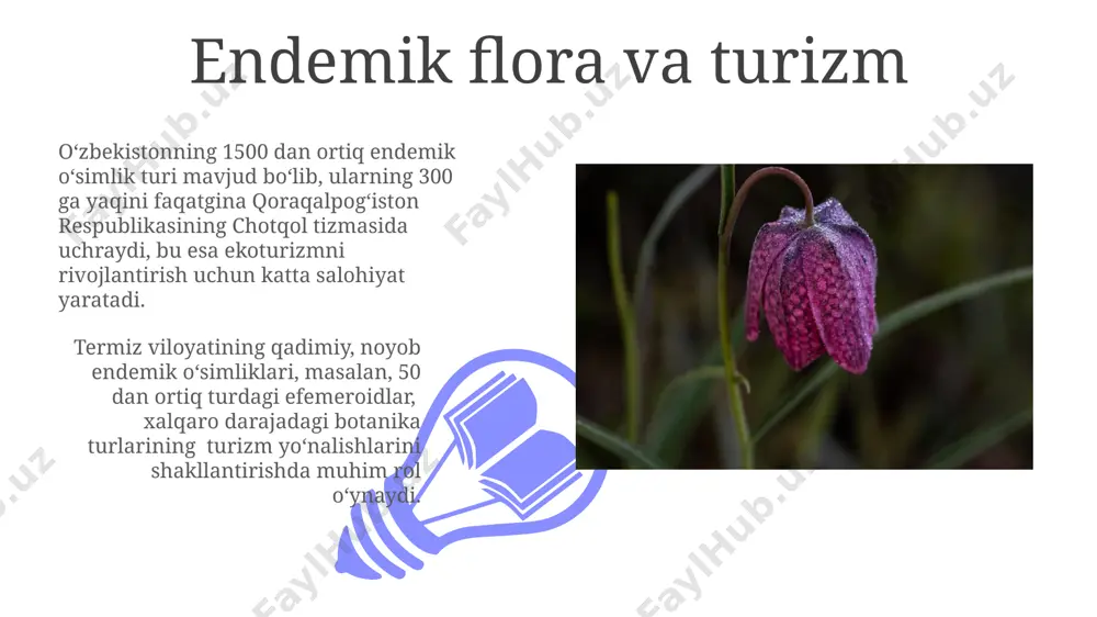 r turlari oʻsadi. endemik oʻsimliklarning tibbiy ahamiyati pamir-oloy togʻlarida oʻsadigan 20 ga yaqin endemik oʻsimlik, antiseptik, yalligʻlanishga qarshi va ogʻriq qoldiruvchi xususiyatlariga ega boʻlib, zamonaviy farmatsevtika sanoatida tadqiqotlar olib borilmoqda. oʻzbekistonning 150 ga yaqin endemik oʻsimlik turi, jumladan, fergana vodiysidagi dorivor oʻsimliklar, xalq tabobatida turli kasalliklarni davolashda qoʻllaniladi. endemik oʻsimliklarning iqtisodiy ahamiyati taxminan 300 dan ortiq endemik oʻsimlik turi, jumladan, toshkent viloyati togʻli hududlarida uchraydiganlar, asalari yetishtirishda muhim rol oʻynab, yuqori sifatli asal hosilini taʼminlaydi. oʻzbekistonning 1500 ga yaqin endemik oʻsimlik turi, jumladan, dorivor oʻsimliklar, xalq tabobati va farmatsevtika sanoati uchun muhim xomashyo manbai hisoblanadi, ayniqsa, fargʻona vodiysida. tahdid ostida boʻlgan endemik oʻsimliklar 01 02 namangan viloyatining togʻli hududlarida oʻsadigan 15 ga yaqin endemik oʻsimlik turi, ayniqsa, dorivor oʻsimliklar, noqonuniy yigʻib olinishi tufayli populyasiyasi keskin kamayib bormoqda. sales 1st qtr 2nd qtr 100 0 sales 1st qtr 2nd qtr 100 0 e'tiboringiz uchun rahmat @taqdimot_robot image4.jpg image5.jpg image6.jpg image7.jpg image8.jpg …