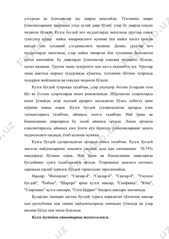ғўза орасига экиш усулини ҳам қўллаш мумкин. кузги буғдойни лалми ерларнинг текислик ва дўнгли текислик минтақаларда тоза шудгорга, ундан юқорироқ минтақаларда тоза шудгордан ташқари, банд шудгорга экиш фойдали ҳисобланади. ерни ишлаш. кузги буғдой экиладиган ерларни ундан олдин шу майдонда қандай экин экилганлиги ва даланинг бегона ўтлардан қай даражада тозалигига қараб ишланади. буғдойни оптимал муддатда экиш ва ерни яхши ишлаш учун олдин экиндан бўшаган майдонлар суғорилади. tynpoқ етилгандан сўнг "ғалла" илмий ишлаб чиқариш бирлашмаси томонидан ўзбекистон “faллa" илмий ишлаб чиқариш бирлашмасининг тажрибаларига биноан 4 ва 5 корпусли ағдарма плуглар ёрдамида 25-30 см чуқурликда ҳайдаш керак, сўнгра бороналанади ва мола бостирилади. ерлар нотекис бўлса текисланади ва yмуман шудгор оғир бороналар ёки зичлагичлар (катоклар) билан зичланиши керак, акс ҳолда кузги-қишги шароитларда зичланнш натижасида буғдой майcaлapи ва ўсимликлари сийракланади ва нобуд бўлади. шўрланган ерларга кузги буғдой экишдан олдин тупроқ шўри ювилади. ўғитлаш. кузги буғдой ернинг унумдорлигига талабчан бўлади. режалаштирилган ҳосилни олиш учун ерга солинадиган …