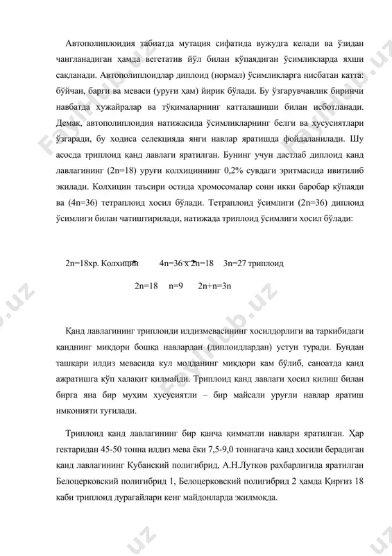 нг кубанский полигибрид, а.н.лутков рахбарлигида яратилган белоцерковский полигибрид 1, белоцерковский полигибрид 2 ҳамда қирғиз 18 каби триплоид дурагайлари кенг майдонларда экилмоқда. япония генетиги ва селекционери г.кихара тарвузнинг диплоиди билан тетраплоидини чатиштириб, шу экиннинг уруғсиз триплоидини яратди: диплоид тарвуз 2n=22 колхицин 4n=44 тетраплоид 4n=44 х 2n=22 3n=33 триплоид 2n=22 n=11 2n+n=3n тарвузнинг триплоиди истеъмол учун жуда қулай, уруғсиз ва таркибида қанд моддасини кўпроқ сақлайди. лавлагининг триплоиди ҳам тарвузнинг триплоиди стерил-пуштсиз. улар уруғ ҳосил қилмайди, шунинг учун бу триплоид навларнинг уруғи хар йили махсус уруғчилик усуллари билан тайёрланади. уруғсиз триплоид тарвузлар япония, ақшда ҳамда хитойда экилмоқда. ҳозирги вақтда триплоид уруғсиз тарвузни уруғини етиштириш хитойда кенг равишда ривожланиб, триплоид тарвуз уруғининг кўп мамлакатларга тарқатиб келмоқда. жавдарнинг биринчи тетраплоид стил нави швецияда 1951 йилда хосил қилинган. унинг дони йирик ва яхши сифатлидир. кейинчалик германияда тетра-петкус, белоруссияда – белта, полесская тетра, украинская тетра, старт тетраплоид навлари яратилган. академик н.цицин жавдарнинг бошоғи шохланувчан юқори махсулдор тетраплоидини …