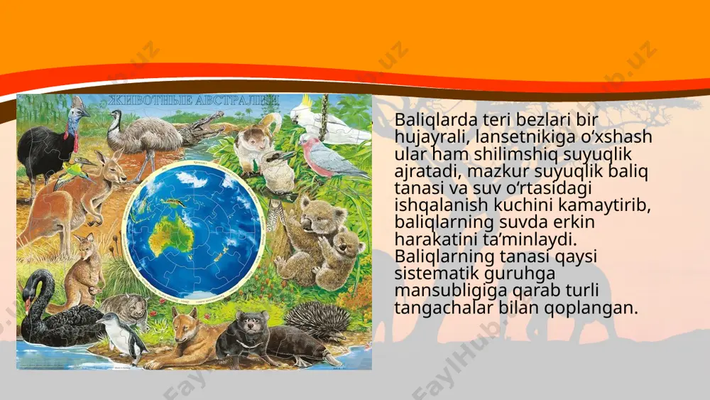 hayvonlarning tana qoplami va harakat organlari evolutsiyasi. 11 - sinf - Page 5