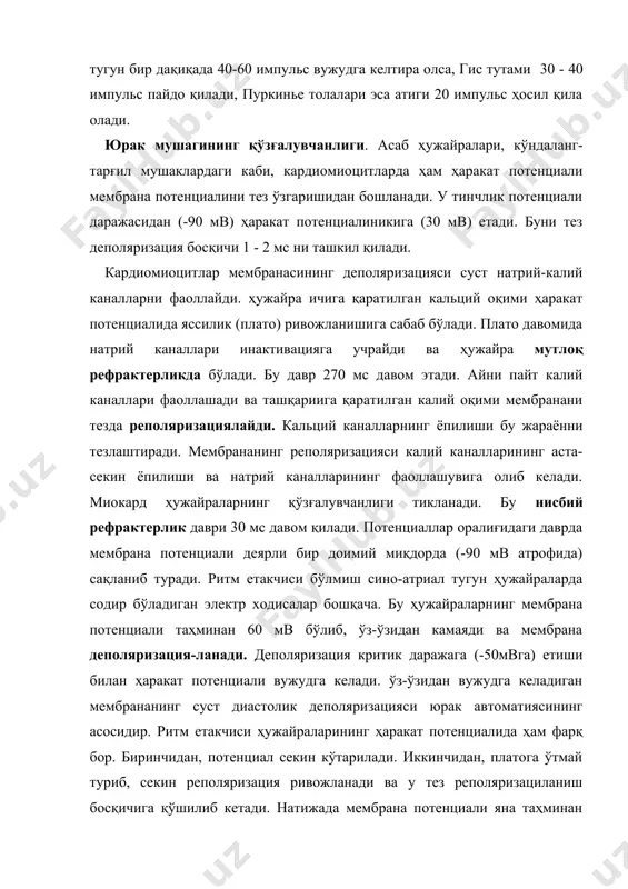 . иккинчидан, платога ўтмай туриб, секин реполяризация ривожланади ва у тез реполяризациланиш босқичига қўшилиб кетади. натижада мембрана потенциали яна таҳминан -60 мв га қайтади. ўз-ўзидан суст диастолик деполяризация бошланиб, кейинги ҳаракат потенциали юзага чиқади. бу ҳужайралар ҳаракат потенциалида деполяризация босқичининг секин ривожланиши жараёнида тезкор натрий каналлари иштирок этмаслигига боғлиқ. деполяризацияни кальций каналларининг фаолланиши таъминлайди, катион оқими уларда нисбатан суст бўлади. суст диастолик деполяризациянинг ривожланиш тезлигини ват назорат қилиб туради. симпатик асаблар медиатори норадреналин суст кальций каналларни фаоллаб, ўз-ўзидан деполяризацияланишни тезлаштиради ва юрак уриш (қўзғалиш) маромини кучайтиради. адашган асаблар медиатори ацетилхолин мембрананинг калий ўтказувчанлигини ошириб, суст диастолик деполяризацияни секинлаштиради ёки бутунлай тўхтади. шунда юрак уриши секинлашади, хатто тўхтаб қолиши мумкин. демак, кардиомиоцитларнинг ҳаракат потенциали ўртача 300 мс давом этади. уларнинг реполяризацияланиши узоқ давом этганидан ҳужайра 270 мс давомида мутлоқ рефрактерликда бўлади. бундай холат юракни тезда қайта қўзғалишдан ва тетаниқ қисқаришдан сақлайди. бундан ташқари, давомли мутлоқ рефрактерлик қўзғалишни миокардда халқа бўйлаб ҳаракат …