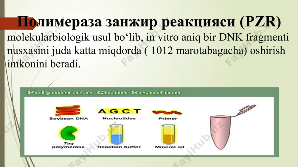 nomlanadi). lekin, matritsa bunday bog‘ni ikkinchi zanjir bilan xosil qilib olishi mumkin. demak, dastlab dnkni qizdirib olish kerak -bunda vodorod bog‘lari uziladi. bu ish oddiy qizdirish orqali amalga oshiriladi (t 95 °c gacha) -bosqich denaturatsiya deb nomlanadi. ammo, endi yuqori xarorat sabab praymerlar matritsaga bog‘lana olmaydi. xarorat 50/65 °c ga qadar pasaytirilganda praymerlar matritsa bilan bog‘lanadi, shundan so‘ng xarorat bir oz ko‘tariladi (polimerazaning optimal ishlash xaroratiga qadar, o‘rtacha 72 °c). shunda polimeraza matritsaga komplementar bo‘lgan dnk zanjirini sintezlay boshlaydi -buni elongatsiya deb atashadi. mana shunday bir bosqichdan so‘ng kerakli fragmentning nusxasi ikki karra ortadi. ammo, buni yana bir bor qaytarishga xech narsa qarshilik qilmaydi. qaytarish bir emas bir necha o‘n marotaba bajariladi. xar bir qaytarilishdan so‘ng mavjud dnk fragmentining miqdori ikki marotabaga ortib boraveradi, chunki yangi xosil bo‘lgan molekulalar keyingi sikl uchun matritsa sifatida qo‘llaniladi. aslini olganda pzrning effektivligi u qadar yuqori emas, ideal xolatda esa shunday, real sonlar ham …