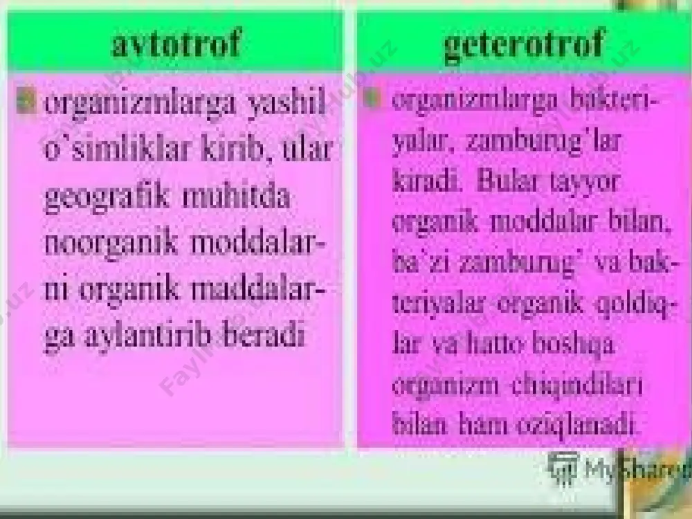 tirik organizmlarning oziqlanishi - Page 3