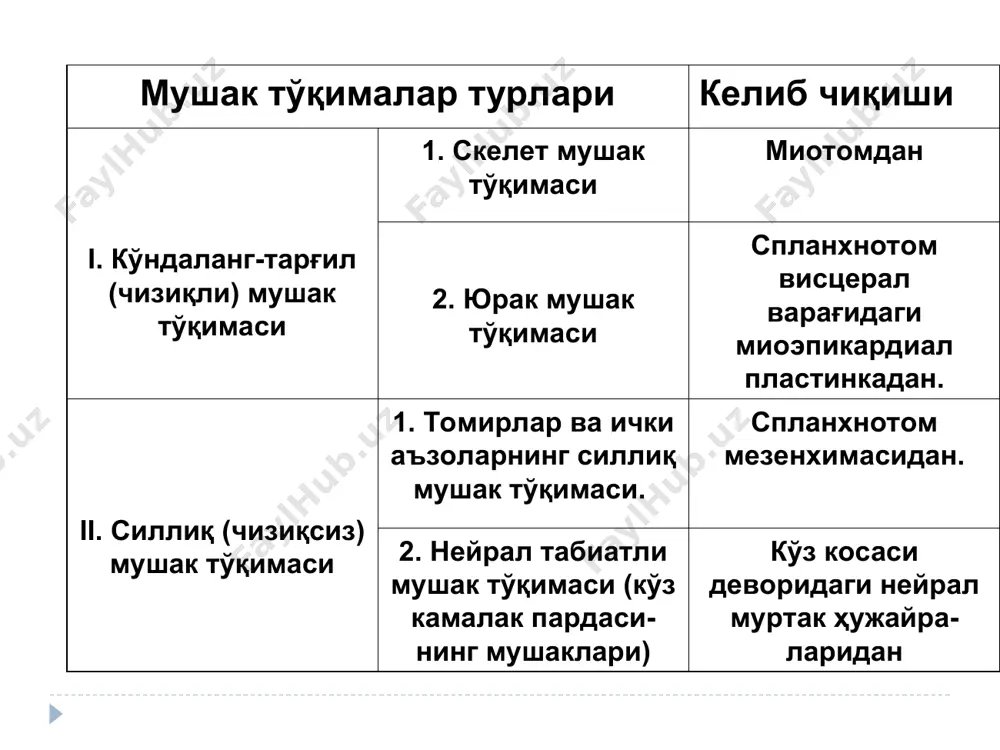 ар, 3-миофибриллалар, а-кўндаланг найчалар, б-«катакчалар» т-системалар, в-терминал цистерналар, г-найсимон элементлар, д-тўрсимон элемент. саркомер тузилиши. саркомерларнинг нозик тузилиши электрон микрофотографияси (а) ва схемаси (б). 1 – телофрагма (z-чизиқ), 2 – нозик филаментлар, 3 – н-зона, 4 – семиз филаментлар, 5 – мезофраг-ма (м-чизиқ) йўғон филаментлар миозиндан ташкил топган (a). ҳар бир миозин молекуласи бир-бири атрофида ўралган иккита полипептид занжирдан ташкил топган. ҳар бир занжир оҳирида «бошча» (b) сифатида тасвир-ланган глобуляр зона мавжуд. миозин филаментлар тутамлар ҳосил қилади, улардан тартибли интервал билан бошчалар чиқиб туради. нозик филаментлар актиннинг глобуляр оқсилидан ташкил топган. актин оқсилларининг иккита занжири спиралга бирлашади. нозик филаментлар – иккита спирал ўралган актин иплари. спирал занжир арқонларида тропомиозиннинг қўш спирали жойлашган, унда бўйламасига тропонин молекулалари жойлашган. тропонин с мушак қисқариши механизми. юқоридан ўнгда ҳар бир мушак толасидаги ҳаракатлантирувчи нерв охирги майда тармоқлари кўрсатилган. ҳаракатлантирувчи нерв охирларидан бирининг тузилиши марказда кўрсатилган. аксоннинг терминал қисми мушак толаси плазмолеммасига ботиб кирувчи ва у …