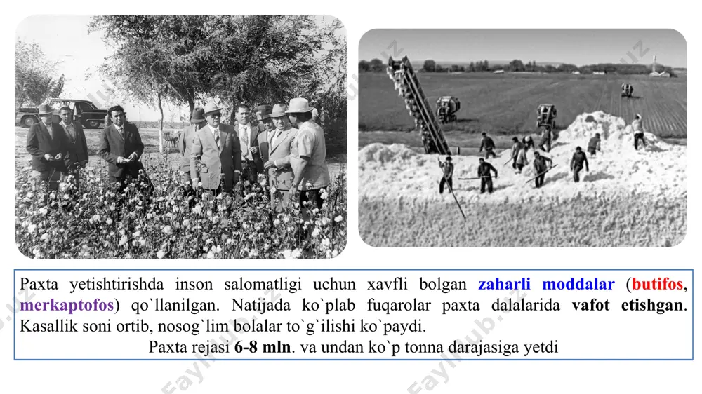 n jizzax shahriga olib ketiladi. toshkentda esa ramziy qabr sifatida qoladi inomjon buzrukovich usmonxoʻjayev (1930.21.5, bag`dod tumani - 2017.3.17, farg'ona) qatʼiyatsizligi va jurʼatsizligi tufayli markazning tazyiqiga dosh bera olmay, 1984-88-yillarda oʻzbekistonning koʻplab arboblarini “paxta ishi" va “o`zbeklar ishi" degan soxta siyosiy ayblovlar natijasida qatagʻon qilinishiga, xalqning milliy gʻururi va qadriyatlari kamsitilishiga yoʻl qoʻyib berdi oʻzbekiston kompartiyasi mk birinchi kotibi (1983—88). u respublikaga rahbarlik qilgan yillarda vaziyat yomonlashdi. paxta ishi markazdan paxta rejasiga oid bajarib b`olmas vazifalar kelardi. bunga javoban oʻzbek hukumati “qoʻshib yozish” (raqamlarning sunʼiy oʻsishi oddiy hol edi) hisobiga dalalarining irrigatsiyasi va paxta hosili haqida oldingisidan kattaroq raqamlarni yozishardi. oʻsha “qoʻshib yozishlar’ 500 mingdan 1 mln. tonna raqamni tashkil qilgan. sovet davlatining soʻnggi yillarida ruslar uchun sharof rashidov nomi korrupsiya va maʼmuriy-buyruqbozlik boshqaruvining timsoliga aylandi paxta ishi bu holat oʻzbek boshqaruvchilariga markazdan qoʻshimcha manbalar olish va brejnev hokimiyatini sotib olishga imkon berardi. faqatgina rashidovning oʻlimidan soʻnggina, markaz oʻziga xos …