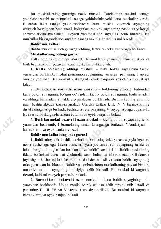 ichki tomonga karab bukadi. son muskullarining orka guruxi 1. sonning ikki boshli muskuli – ikki boshchaga ega. uzun boshchasi son suyagining gadir-budur chizigidan. ikkala boshchasi birikib umumiy pay xosil kiladi va kichik boldir suyagining boshchasiga kelib birikadi. bu muskul kiskarganda son suyagini yozadi, bodirni bukadi va tashkariga xam buradi. 2. yarim pay muskul – o‘tirgich bo‘rtigidan boshlanib, tizza bo‘gimi yonidan o‘tadi va katta boldir suyagining gadir-budurligiga birikadi. bu muskul kiskarganda boldirni ichki tomonga aylantiradi, uni bukadi va son suyagini yozadi. 3. yarim parda muskul – xam o‘tirgich bo‘rtigidan boshlanib, katta boldir suyagining medial bo‘gim do‘ngiga birikadi. bu muskul kiskarganda son suyagini yozadi, boldirni esa bukadi va ichki tomonga aylantiradi. son muskullarining medial guruxi bu muskullarning guruxiga nozik muskul. taroksimon muskul, tanaga yakinlashtiruvchi uzun muskul, tanaga yakinlashtiruvchi katta muskullar kiradi. bulardan fakat tanaga yakinlashtiruvchi katta muskul kuymich suyagining o‘tirgich bo‘rtigidan boshlanadi, kolganlari esa kov suyagining pastki va yukorigi shoxchalaridan boshlanadi. deyarli …