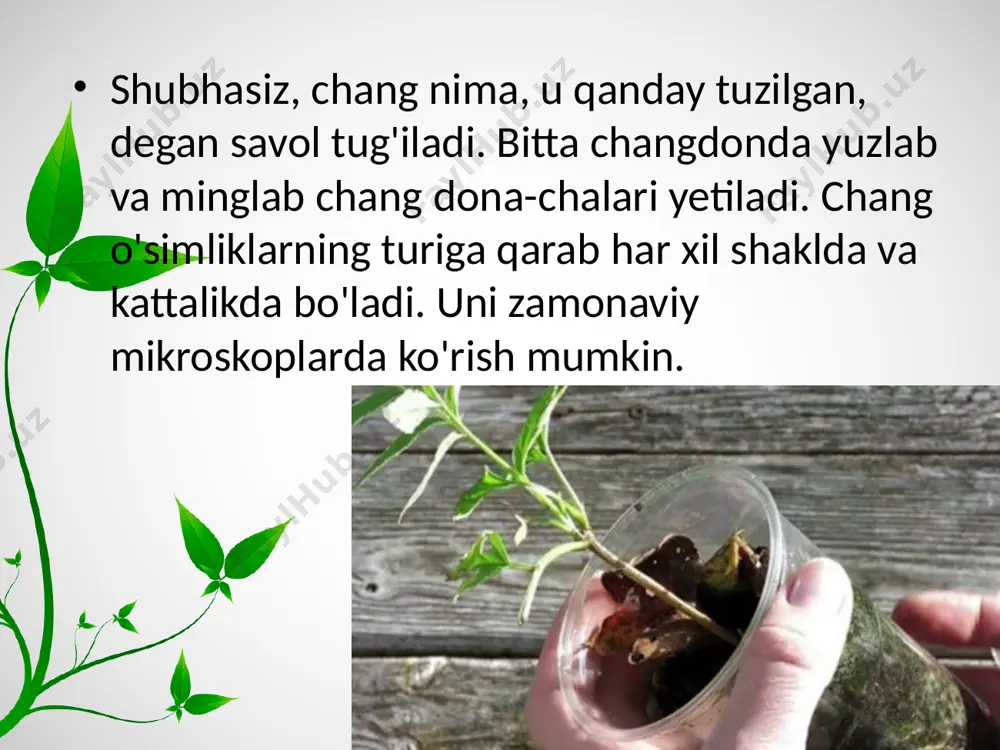 gulli o'simliklarning jinsiy ko'payishi. urug'lanish. 6 - sinf - Page 5