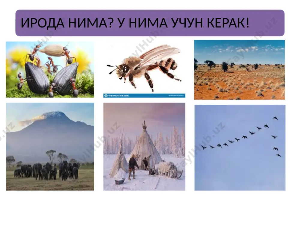 сўзида туриш ва муайян ҳаракатни ўз вақтида бажариш. чидамлилик - бу фаолиятнинг исталмаган кўринишларини қабул қилиш қобилияти. интизом - бу ўз хатти-ҳаракатларини ижтимоий талабларга мувофиқ тартибга солиш қобилиятидир. иродавий сифатлар зўриқиш, кучни сафарбар этиш билан ахлоқийлик билан индивидуаллик сифатлари билан ирода кучининг белгилари тўхтамга келиш, тўхташ тўсиқларни енгиб ўтиш қобилияти ўзини ўзи бошқариш қобилияти жасоратлилик чидамлилик шахснинг индивидуаллигига кўра иродавий сифатлари ташаббускорлик принципиаллик тартиблилик интилувчанлик иродавий сифатлар мақсадга интилиш билан боғлиқ сифатлар матонат интилувчанлик ахлоқий ривожланиш билан боғлиқ сифатлар жасорат фидокорлик ўзини бошқариш билан боғлиқ сифатлар журъатлилик бардошлилик қатъият принципиаллик интизомлилик ботирлик тавсия этиладиган адабиётлар 1.ғозиев э.ғ. умумий психология.т., университет, 2002. 2.дружинин в.н. экспериментальная психология. 2-е изд., перераб. и доп. спб: изд-во «питер», 2000. 320 с. 3.ильин е.п. эмоции и чувства. - спб: питер, 2001 4.зимин п.п. воля и ее воспитание у подростков. - ташкент, 2011. 5.высоцкий а.и. волевая активность школьников и методы ее изучения. - рязань, 2011. - с.9 …