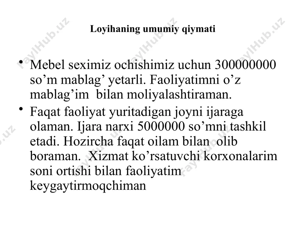 korxonani tashkil etish va tadbirkorlik loyihasi - Page 4