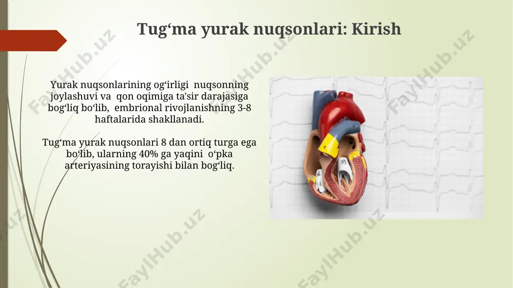 yurakning rivojlanish nuqsonlari - Page 4
