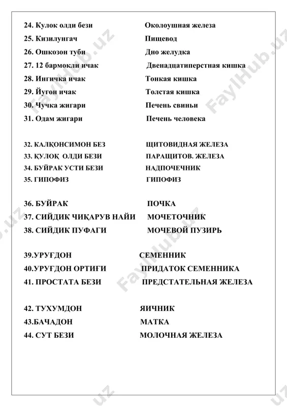 7 - " ijtimoiy himoya " yili. 2008 - " yoshlar " yili. 2009 - " qishloq taraqqiyoti va farovonligi " yili. 2010 - " barkamol avlod " yili. 2011 - " kichik biznes va hususiy tadbirkorlik " yili. 2012 - " mustahkam oila " yili. 2013 - " obod turmush " yili. 2014 - " sog'lom bola " yili. 2015 - " keksalarni e'zozlash " yili. 2016 - " sog'lom ona va bola " yili. 2017 - " xalq bilan muloqot va inson manfaatlari " yili. 2018- “faol tadbirkorlik, innovatsion g‘oyalar va texnologiyalarni qo‘llab-quvvatlash 2019- "faol investitsiyalar va ijtimoiy rivojlanish" yili