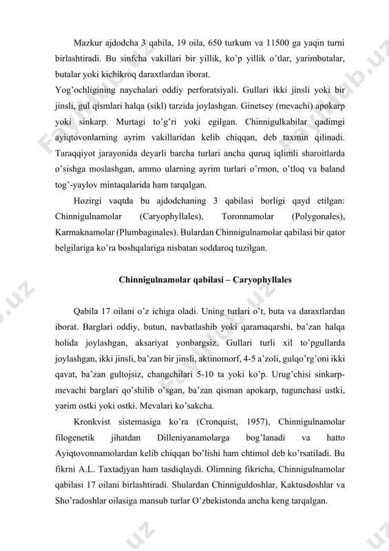 ’lishi ham chtimol deb ko’rsatiladi. bu fikrni a.l. taxtadjyan ham tasdiqlaydi. olimning fikricha, chinnigulnamolar qabilasi 17 oilani birlashtiradi. shulardan chinniguldoshlar, kaktusdoshlar va sho’radoshlar oilasiga mansub turlar o’zbekistonda ancha keng tarqalgan. semizo’tdoshlar oilasi – portulacaceae bu oila vakillari bir yillik va ko’p yillik o’t o’simliklar, qisman yarimbuta va butachalardan iborat. barglari oddiy, butun, navbatlashib yoki qarama-qarshi o’rnashgan, etli va sershira (sukkulent), yonbarglari ham etli. gullari bittadan, simoz yoki ratsimoz to’pgullarda joylashgan ikki jinsli, aktinomorf, ba’zan zigomorf, gultojibarglari yo’q, kosachabarglari (gultojibargsimon) odatda 4-5 ta, ba’zan 2-3 ta, oq, sariq, qizil rangli, erkin yoki asosi qisman tutash. changchilari kosachabarglari soniga teng, yoki undan 2-4 marta ko’p. urug’chisi 2-8 mevabargdan tashkil topgan, ustunchalari erkin yoki qisman qo’shilib o’sgan, tugunchasi yarim ostki, gul formulasi: ca2co5a5g(2-8). mevasi ko’ndalang yorilib ochiladigan ko’p urug’li ko’sakcha. semizo’tdoshlarning 30 turkumga mansub 600 ga yaqin turlari mavjud va ular yer yuzining barcha qismlarida, ko’proq iliq va o’rta mintaqalarda, ayniqsa, shimoliy amerikamng …