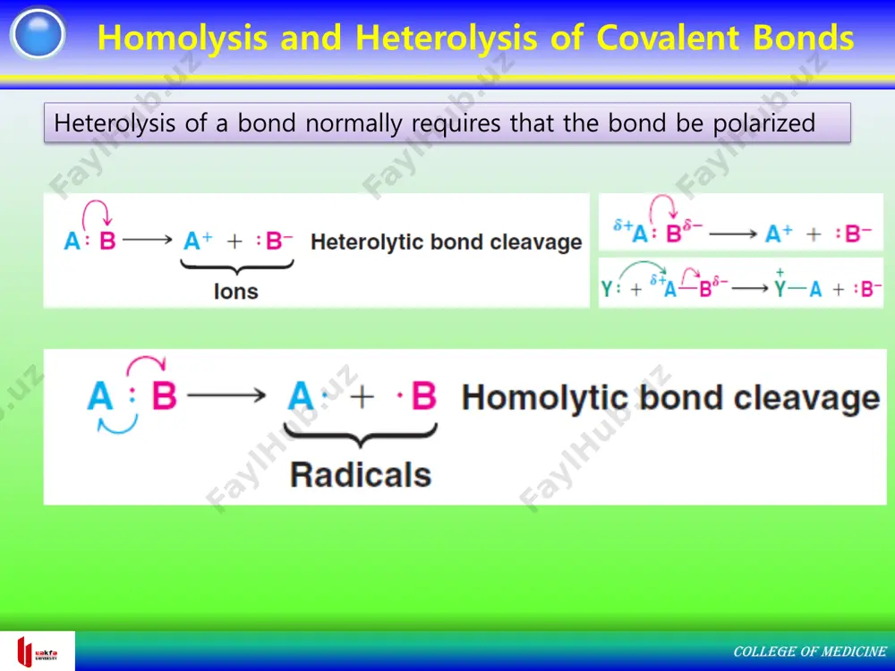 h h c c o h h h c b) + c) o h h n + li o li + n h ch3 c o c h h o h hh c o c h h h ch3 + h2o hk k + h2 college of medicine practice example of an organic reaction mechanism college of medicine college of medicine example of an organic reaction mechanism