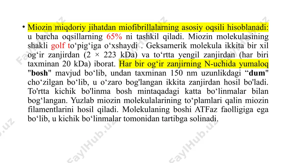 aktat shakllanishi bu jarayonda hech qanday rol o'ynamaydi. mushaklardagi og'riqlar odatda qisqa muddatli bo'lib, mushaklardagi massaj va engil jismoniy faoliyat yordamida oqibatlarsiz bartaraf etilishi mumkin. bunday holatlar uchun samarali dori-darmon yo'q. mushak hujayralaridagi energiya manbalari skelet va silliq mushak hujayralari uchun asosiy energiya manbai glyukoza, yog‘ kislotalari va tarmoqlangan zanjirli aminokislotalardir. boshqa mushaklardan farqli o‘laroq, yurak mushagi doimiy ishlaydi va kerakli atf ni deyarli faqat qondan yog‘ kislotalarining oksidlanishi orqali oladi. glyukoza faqat qondagi miqdori yuqori bo'lganda va glut-4 ishtirokida glyukozaning kardiomiositlarga o‘tkazilishini insulin bilan rag‘batlantirish yo‘li bilan amalga oshiriladi. skelet mushaklarining dam olishida qizil tolalar energiya ishlab chiqarish uchun birinchi navbatda yog‘ kislotalaridan foydalanadi. bu jarayonda glyukoza va tarmoqlangan zanjirli aminokislotalar asosan glikogenga aylanadi. kuchli ish paytida skelet mushaklari o'zlarining glikogen zahiralaridan foydalanadilar (ishning birinchi daqiqasidayoq) va keyin kislorod miqdori yana ko‘payguncha va oksidlovchi metabolizmga o‘tish mumkin bo‘lgunga qadar, asosan, anaerob glikoliz orqali atf oladi. maksimal jismoniy mashqlar paytida, …