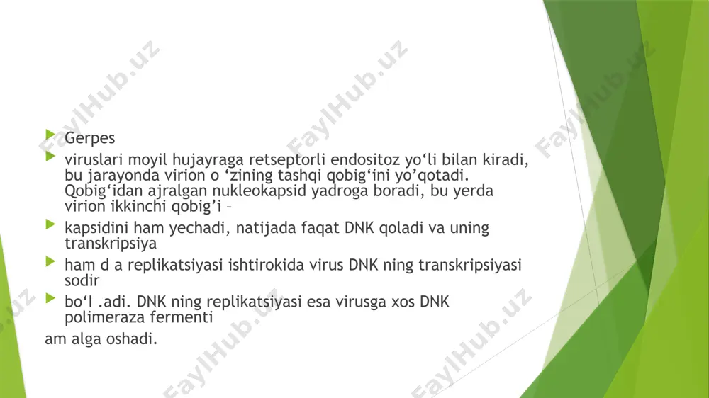 oddiy gerpes virusi - Page 5