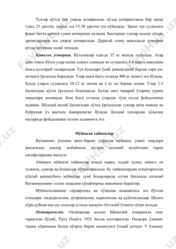o'siq mo'ynasi bilan sust xarakatlanuvchi xayvonni eslatadi. oyoqlari kalta, lekin kuchli. barmoqlarining orasi kalta parda bilan birlashgan bo'lib, suzishda katta vazifani bajaradi. dumi uzun, ikki yon tomonidan toraygan. mo'ynasi och-jigar rang, qora, baozan qizil-sarg'ish va to'q malla rang, tivit junlari ochroq bo'ladi. qulog'i kalta, ko'pda sezilmaydi. ondatralar asosan sersuv, o'simlikka boy bo'lgan ko'lmak erlarda ko'proq urchitiladi. ularning tanlash va saralash ishlarini jiddiy yo'lga qo'yish natijasida xozirgi vaqtda ularda mo'ynasining sifati ancha yaxshilangan, vazni kattalashgan. ondatralarning tanasi 30-35 sm, tirik vazni 1,5-2 kg, ayrimlari undan xam ko'proq bo'ladi. ular suvda yaxshi suza oladi, binobarin o'z ozg'ini ko'p vaqt suvdan topadi. asosiy ozig'i qamish kabi o'simliklar va ularning ildizlari, shuningdek suvdagi mollyuskalar, xasharotlar, chuvalchanglar va ularning lichinkalari xisoblanadi. quyonchilik fermalarini tashkil etish. quyonchilik. o'zbekistondagi xo'jaliklarda va respublikamiz maktalarida quyon asosan go'shti va mo'ynasi uchun boqiladi. vatanimizning barcha zonalarida etishtirilayotgan turli xil mo'ynalar ichida quyon mo'ynasi salmoqli o'rin egallaydi. quyon mo'ynasi rang-barang, engil, …