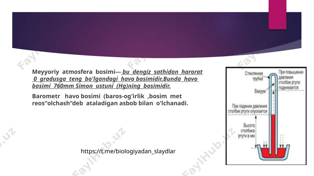 6-sinf tabiiy fan. 50-sinf havo bosimi - Page 5