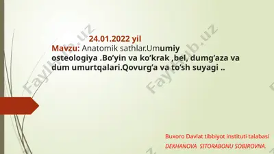 anatomik sathlar — PPTX