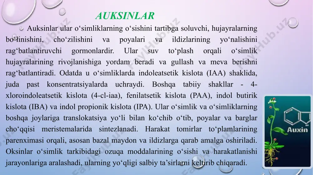 istematik to‘qimalarga, ildizlarga, gullarga va mevalarga zarar etkazish uchun yo‘naltirilgan bo‘lar edi. xuddi shu tarzda, u gullash va meva berish jarayonlarini rivojlantirish orqali o‘simlikning reproduktiv etukligini boshqaradi. o‘simlik yoshi ulg‘aygan sayin, hosilning ko‘payishi mevalarning pishishiga yordam beradi. stressli sharoitda u salbiy sharoitlarni engishga imkon beradigan oqsillarni sinteziga yordam beradi. haddan tashqari miqdor qarilik va hujayralar o‘limiga yordam beradi. umuman olganda, etilen barglar, gullar va mevalardan voz kechishga, mevalarning pishishiga va o‘simlikning yoshiga ta’sir qiladi. bundan tashqari, u o‘simlikning turli xil reaksiyalariga, masalan, yaralarga, suvning stressiga yoki patogenlar hujumiga ta’sir qiladi. absik kislota (abssizin kislota) absik kislota (abssizin kislota) abscisic kislota (aba) o‘simlik gormoni bo‘lib, o‘simlikning turli organlarining abssessiya jarayonida qatnashadi. shu munosabat bilan, fotosintez to‘qimalarining xlorozini kuchaytirib, barglar va mevalarning tushishini ma’qullaydi. yaqinda o‘tkazilgan tadqiqotlar shuni aniqladiki, aba yuqori harorat sharoitida stomatlarning yopilishiga yordam beradi. shu tarzda, barglar orqali suv yo‘qotilishining oldi olinadi, shu bilan hayotiy suyuqlikka bo‘lgan talab kamayadi. …
