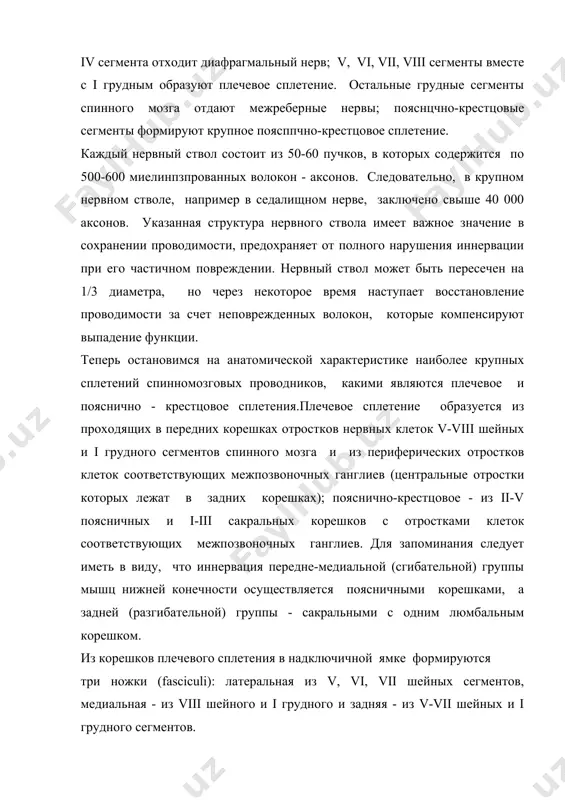ации при его частичном повреждении. нервный ствол может быть пересечен на 1/3 диаметра, но через некоторое время наступает восстановление проводимости за счет неповрежденных волокон, которые компенсируют выпадение функции. теперь остановимся на анатомической характеристике наиболее крупных сплетений спинномозговых проводников, какими являются плечевое и пояснично - крестцовое сплетения.плечевое сплетение образуется из проходящих в передних корешках отростков нервных клеток v-viii шейных и i грудного сегментов спинного мозга и из периферических отростков клеток соответствующих межпозвоночных ганглиев (центральные отростки которых лежат в задних корешках); пояснично-крестцовое - из ii-v поясничных и i-iii сакральных корешков с отростками клеток соответствующих межпозвоночных ганглиев. для запоминания следует иметь в виду, что иннервация передне-медиальной (сгибательной) группы мышц нижней конечности осуществляется поясничными корешками, а задней (разгибательной) группы - сакральными с одним люмбальным корешком. из корешков плечевого сплетения в надключичной ямке формируются три ножки (fasciculi): латеральная из v, vi, vii шейных сегментов, медиальная - из viii шейного и i грудного и задняя - …