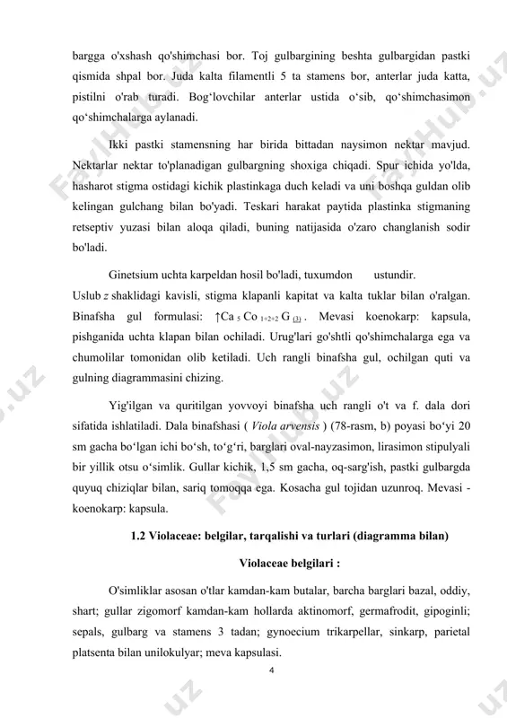 barg va stamens 3 tadan; gynoecium trikarpellar, sinkarp, parietal platsenta bilan unilokulyar; meva kapsulasi. dat: ko'pincha o'tlar - yillik yoki ko'p yillik, ba'zi butalar yoki butalar kamdan-kam hollarda alpinistlar (anchietea). ildiz: teg, ildiz. poyasi: o'tli yoki yog'ochsimon, tik, odatda shoxlanmagan. barg: oddiy, butun yoki har xil tishli, shakli bo'yicha kordatli bo'lishga moyilligi bor, ba'zi turlarida hammasi bazal, lekin boshqalarda muqobil yoki kamdan-kam qarama-qarshi (hybanthus), shartli, stipules doimiy va bargli (viola spp.). b. gulli belgilar: gullash: yakka yoki terminal shpik. gul: brakteat, bracteolate (ikki bracteoles), mukammal, muntazam (rinorea syn. alsodeia) yoki tartibsiz (viola, katta spured old gulbarg bilan), pentamerous, hermafrodit yoki kamdan-kam ko'pxotinli, gipoginous, ba'zan kleistogamous. kosa: tuxumdon atrofida halqa hosil qilish uchun erkin yoki biroz tutashgan 5 ta sepals. sepals appendikulyar, pastda qisqa o'tmas pichoqqa cho'zilgan. corolla: 5 barg barglari, erkin, teng yoki teng bo'lmagan, eng pastki (oldingi) ko'pincha katta va o'ralgan yoki o'ralgan, turli rangda. androtsium: stamens 5, tuxumdon …
